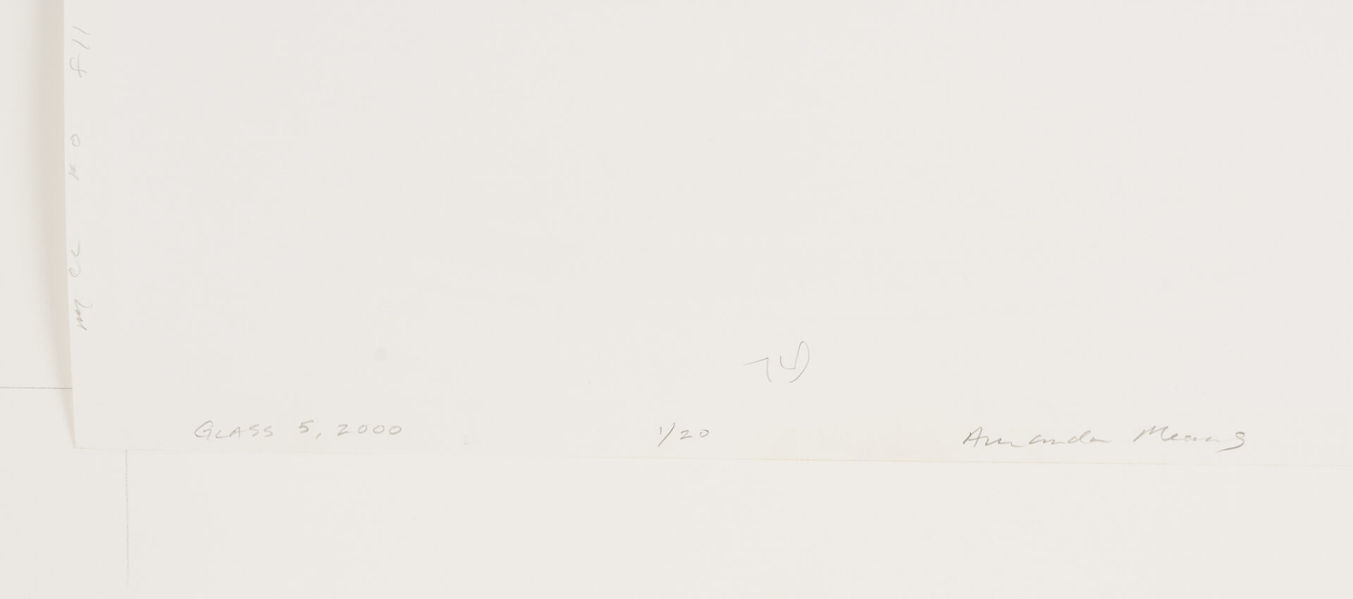 Lot 1205: Amanda Means Framed Photograph, “Glass 5”