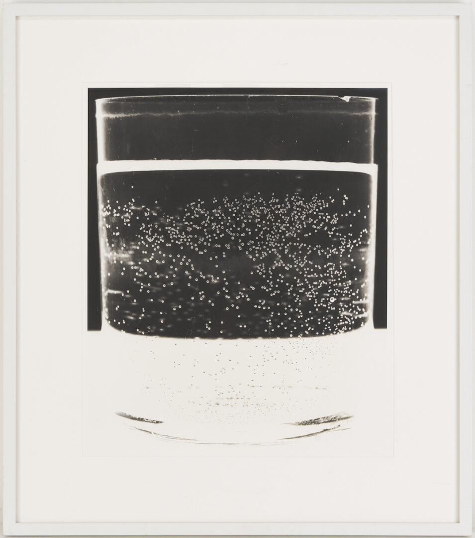 Lot 1206: Amanda Means Framed Photograph, “Glass 3”