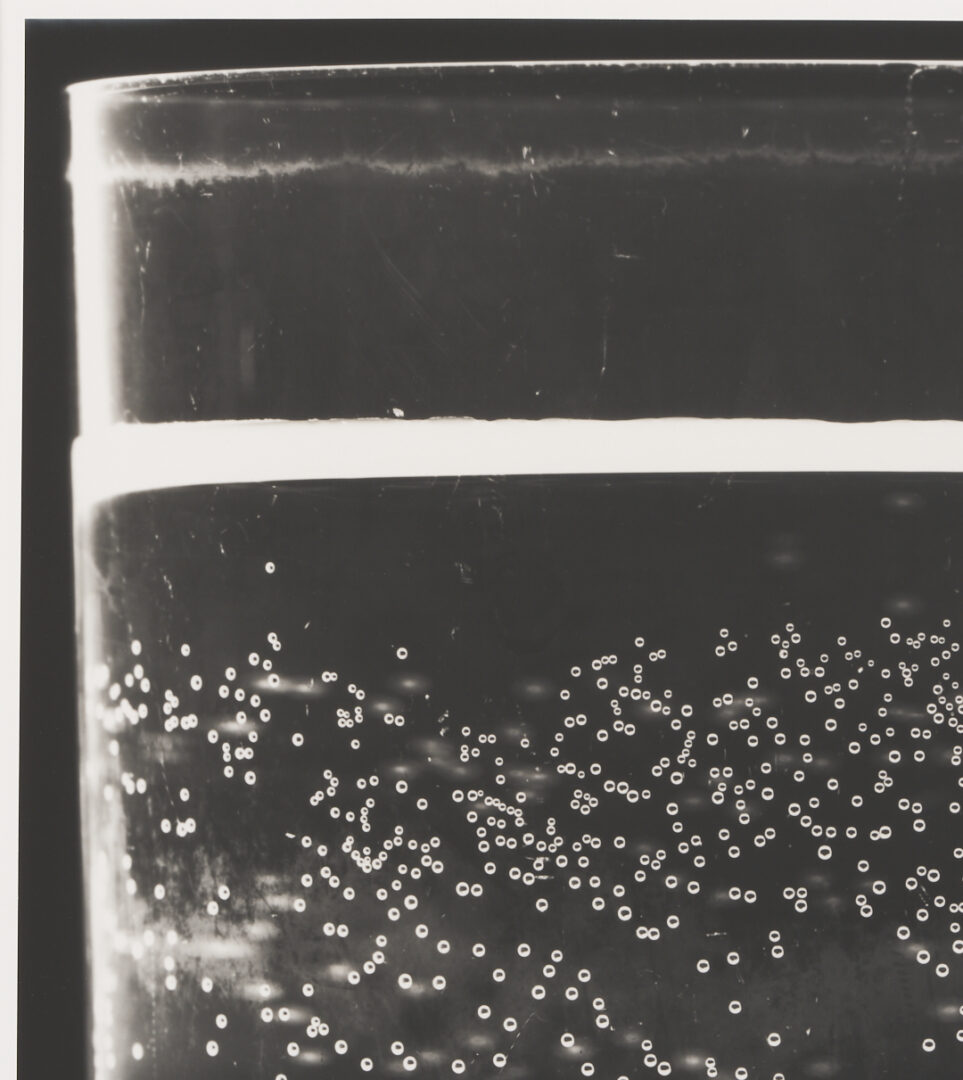 Lot 1206: Amanda Means Framed Photograph, “Glass 3”