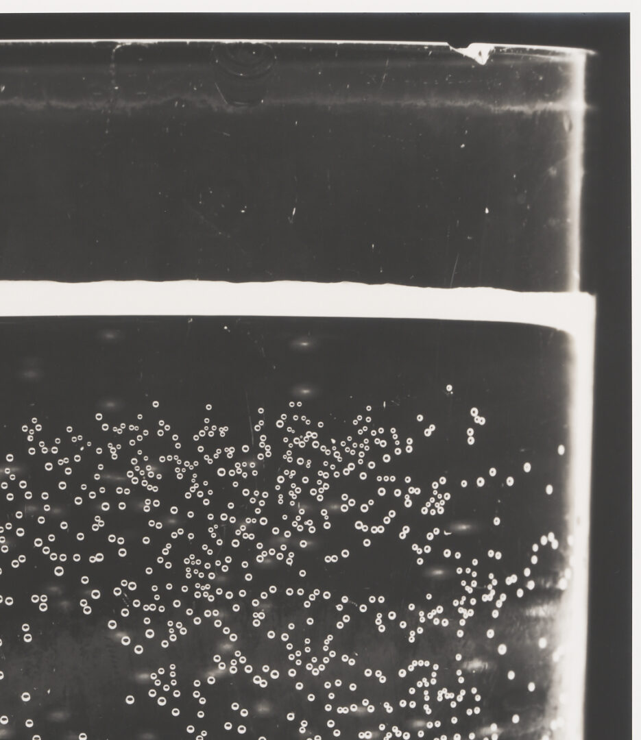 Lot 1206: Amanda Means Framed Photograph, “Glass 3”