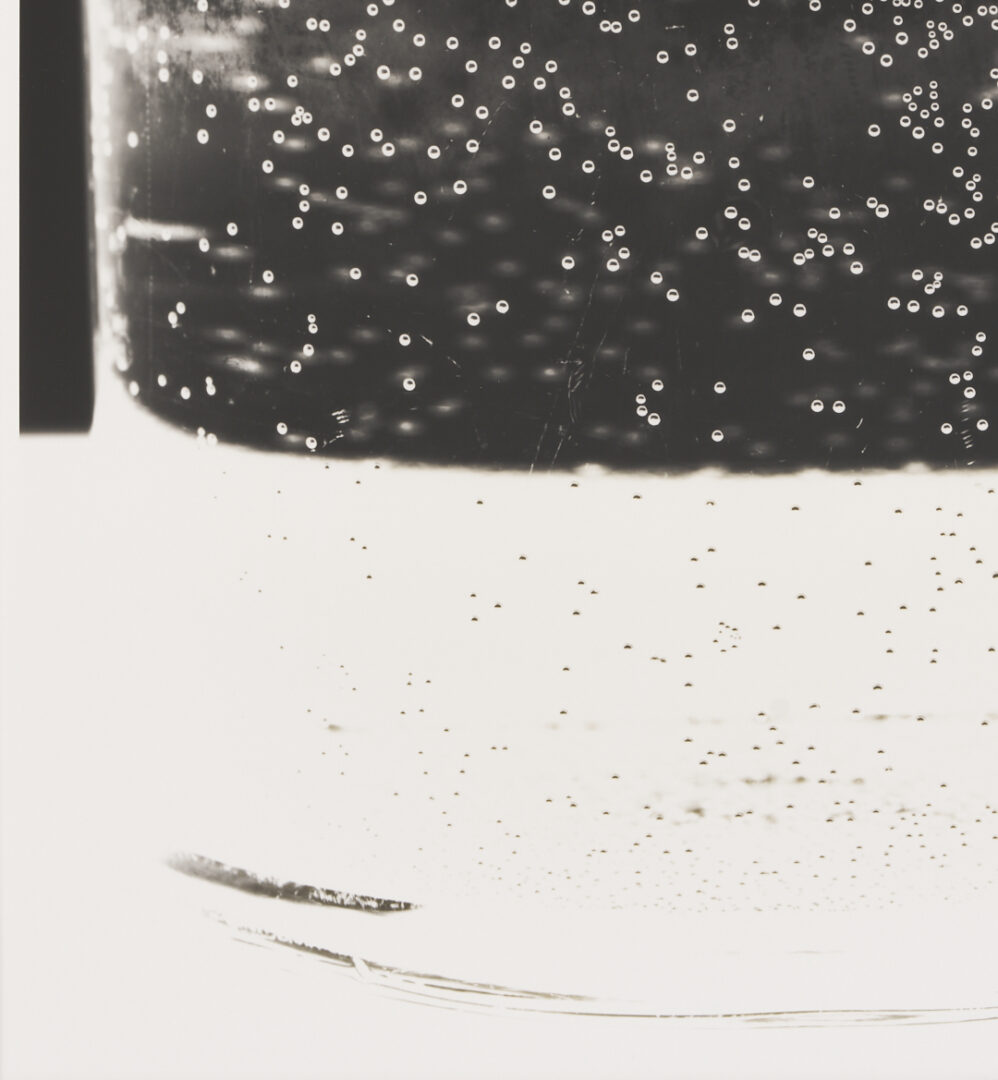 Lot 1206: Amanda Means Framed Photograph, “Glass 3”