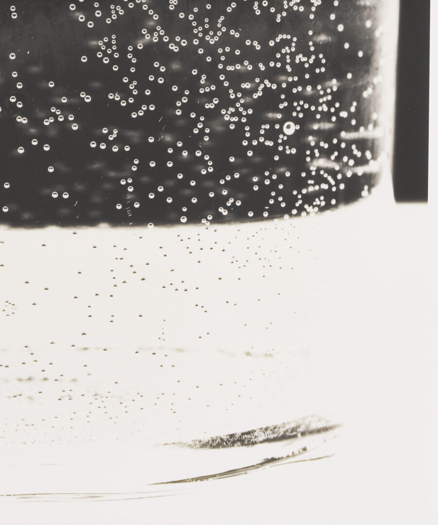 Lot 1206: Amanda Means Framed Photograph, “Glass 3”