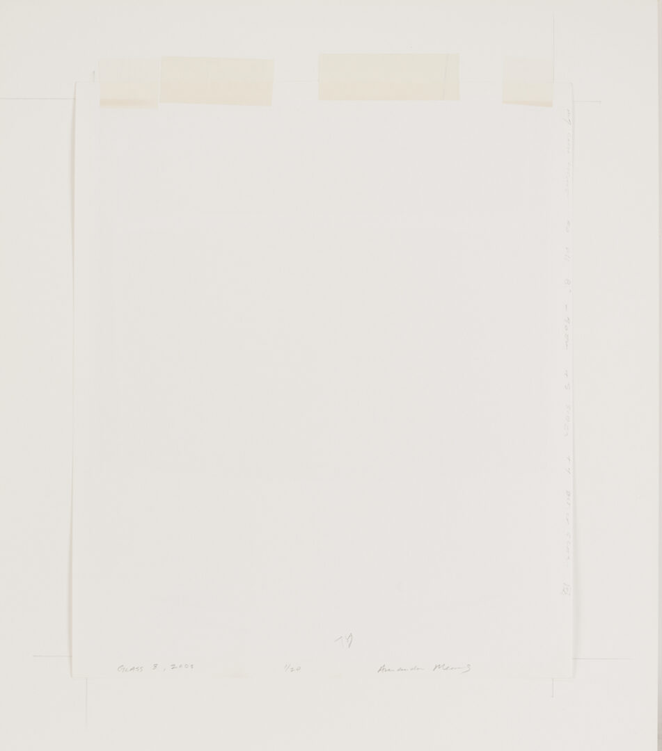 Lot 1206: Amanda Means Framed Photograph, “Glass 3”