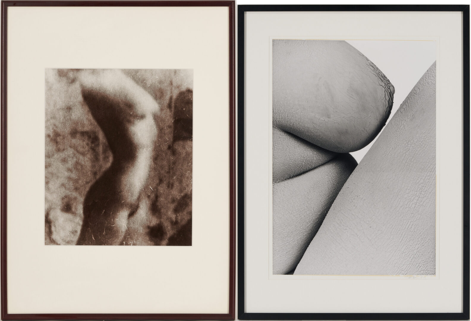 Lot 1207: Stephen Coan and Will Wilson, 2 Contemporary Nude Photographs