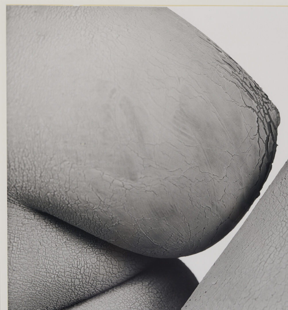 Lot 1207: Stephen Coan and Will Wilson, 2 Contemporary Nude Photographs