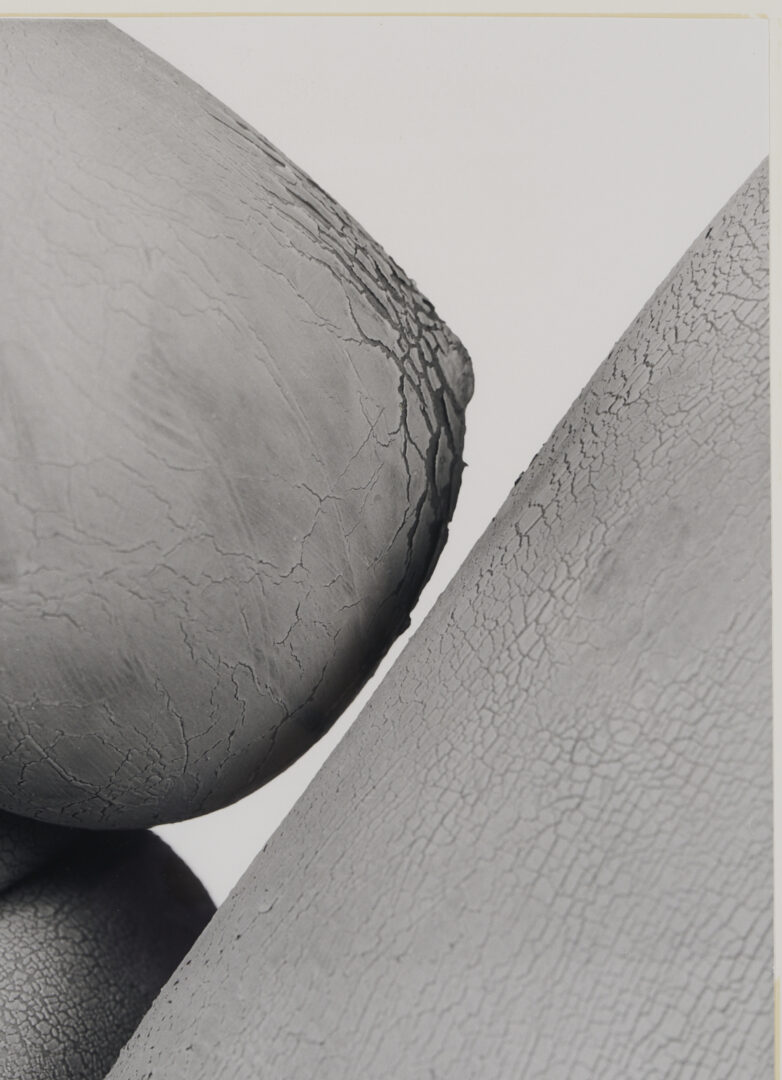 Lot 1207: Stephen Coan and Will Wilson, 2 Contemporary Nude Photographs