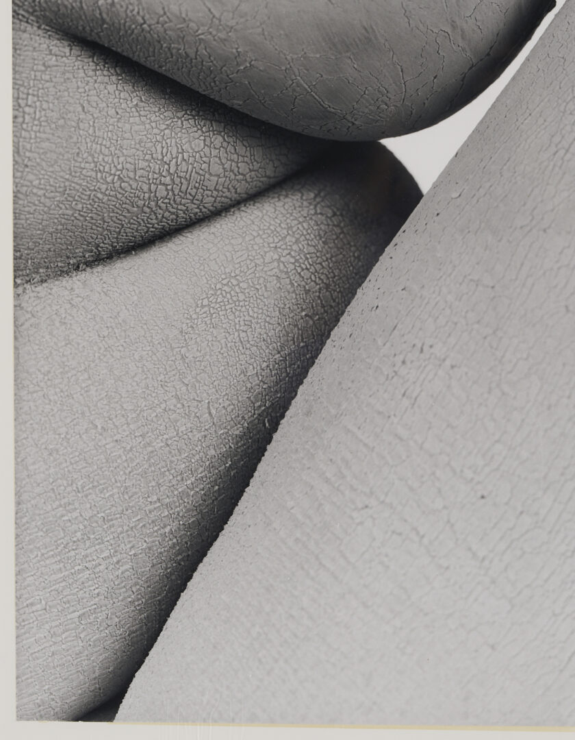 Lot 1207: Stephen Coan and Will Wilson, 2 Contemporary Nude Photographs