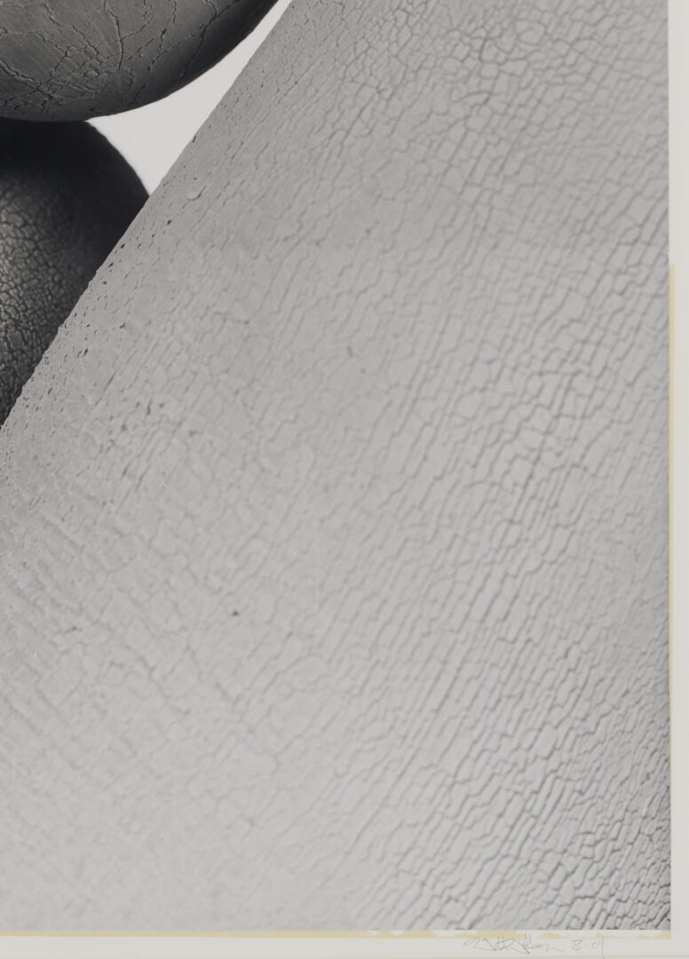 Lot 1207: Stephen Coan and Will Wilson, 2 Contemporary Nude Photographs