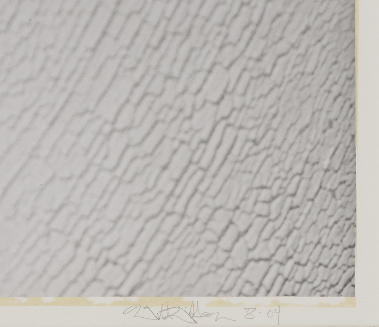 Lot 1207: Stephen Coan and Will Wilson, 2 Contemporary Nude Photographs