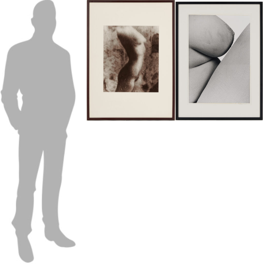 Lot 1207: Stephen Coan and Will Wilson, 2 Contemporary Nude Photographs