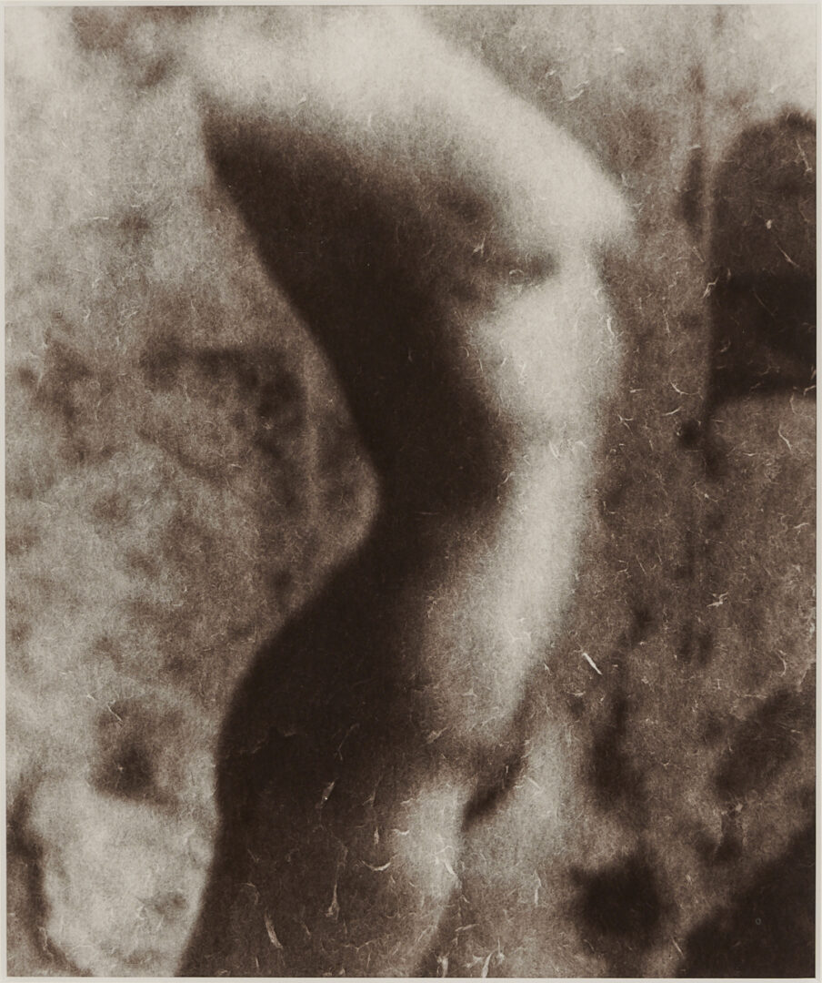 Lot 1207: Stephen Coan and Will Wilson, 2 Contemporary Nude Photographs