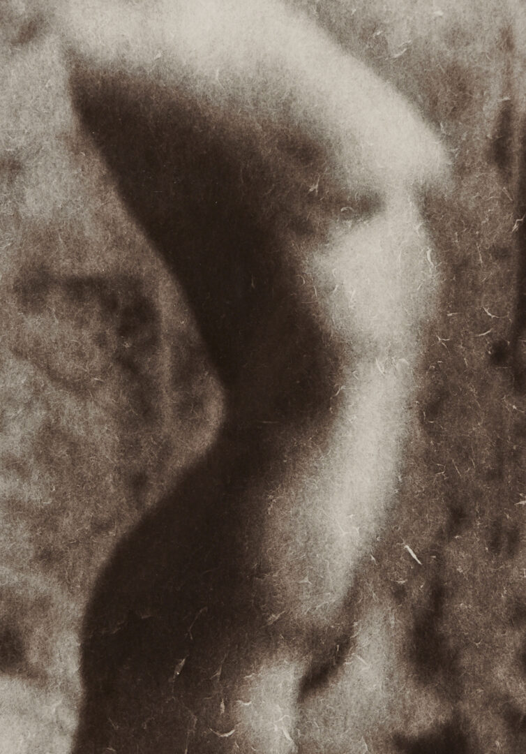 Lot 1207: Stephen Coan and Will Wilson, 2 Contemporary Nude Photographs