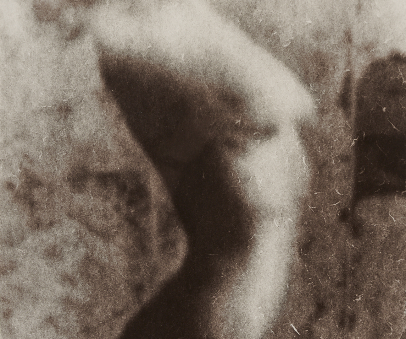 Lot 1207: Stephen Coan and Will Wilson, 2 Contemporary Nude Photographs