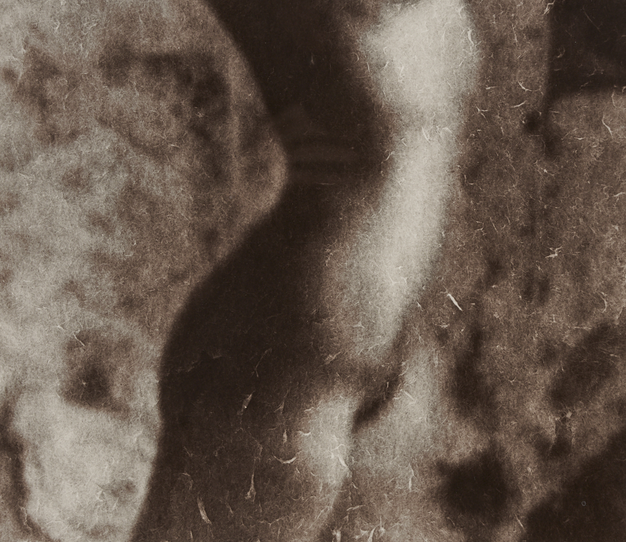 Lot 1207: Stephen Coan and Will Wilson, 2 Contemporary Nude Photographs