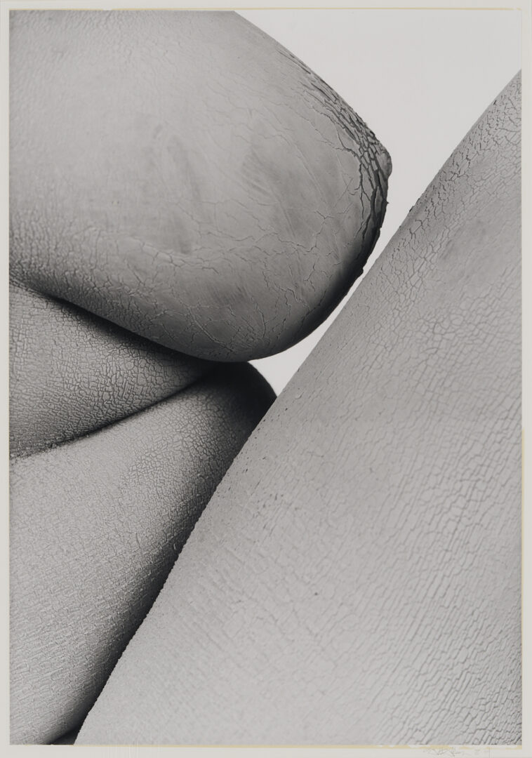 Lot 1207: Stephen Coan and Will Wilson, 2 Contemporary Nude Photographs