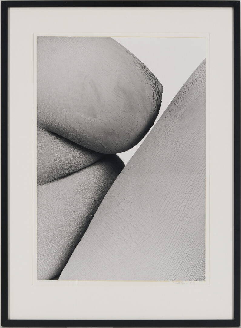 Lot 1207: Stephen Coan and Will Wilson, 2 Contemporary Nude Photographs
