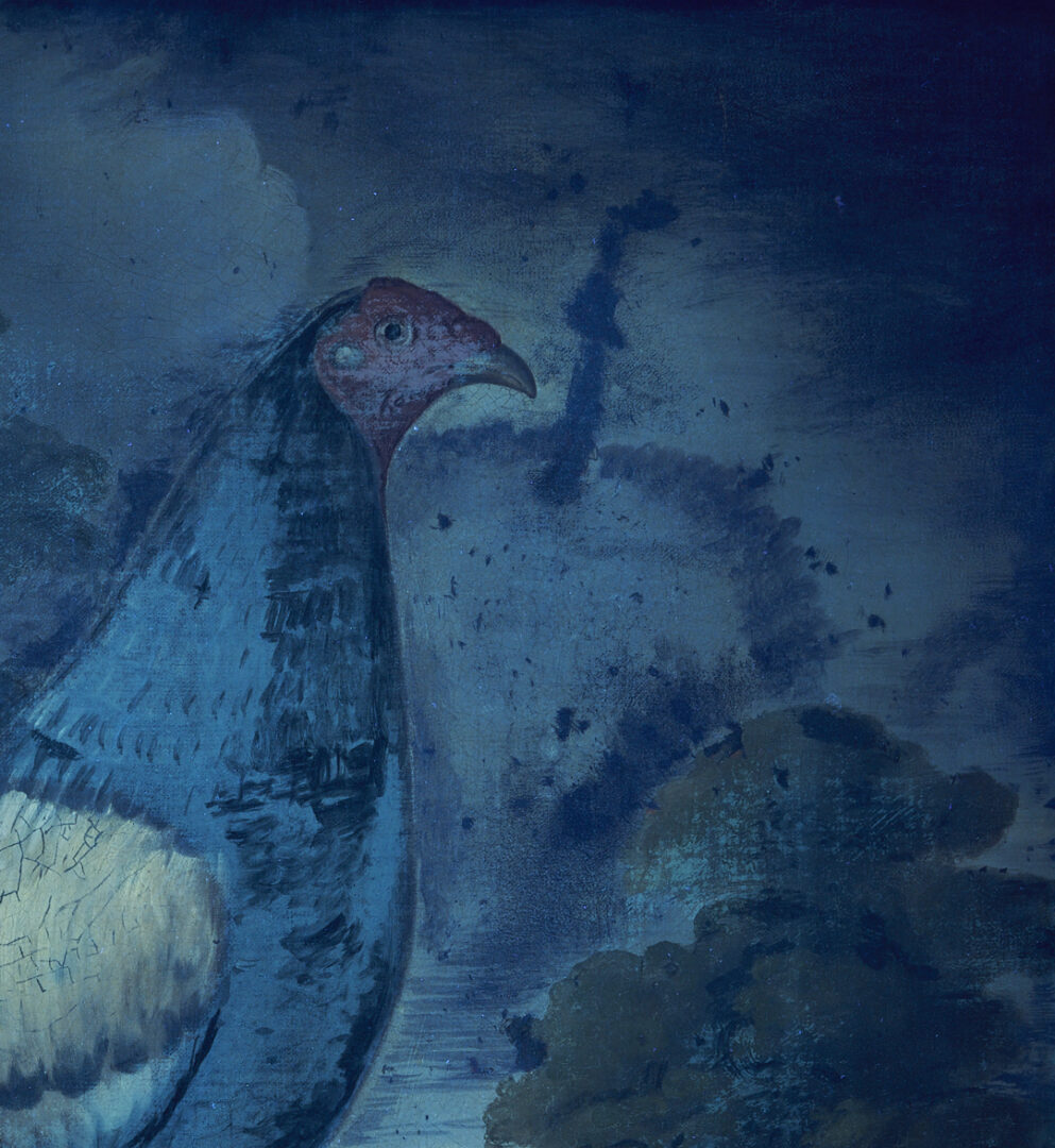 Lot 124: O/C Painting of Fighting Cock, Poss. Sartorius Family