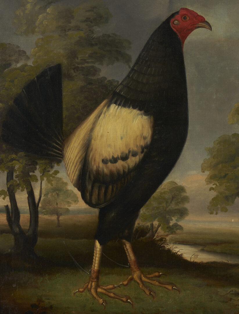 Lot 124: O/C Painting of Fighting Cock, Poss. Sartorius Family