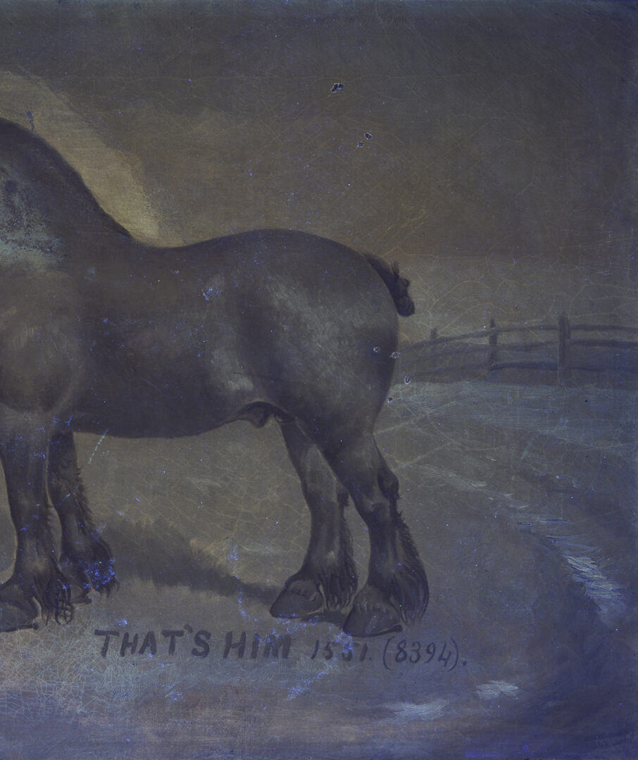 Lot 182: Two Lou Burk Equine Illustration Art Paintings