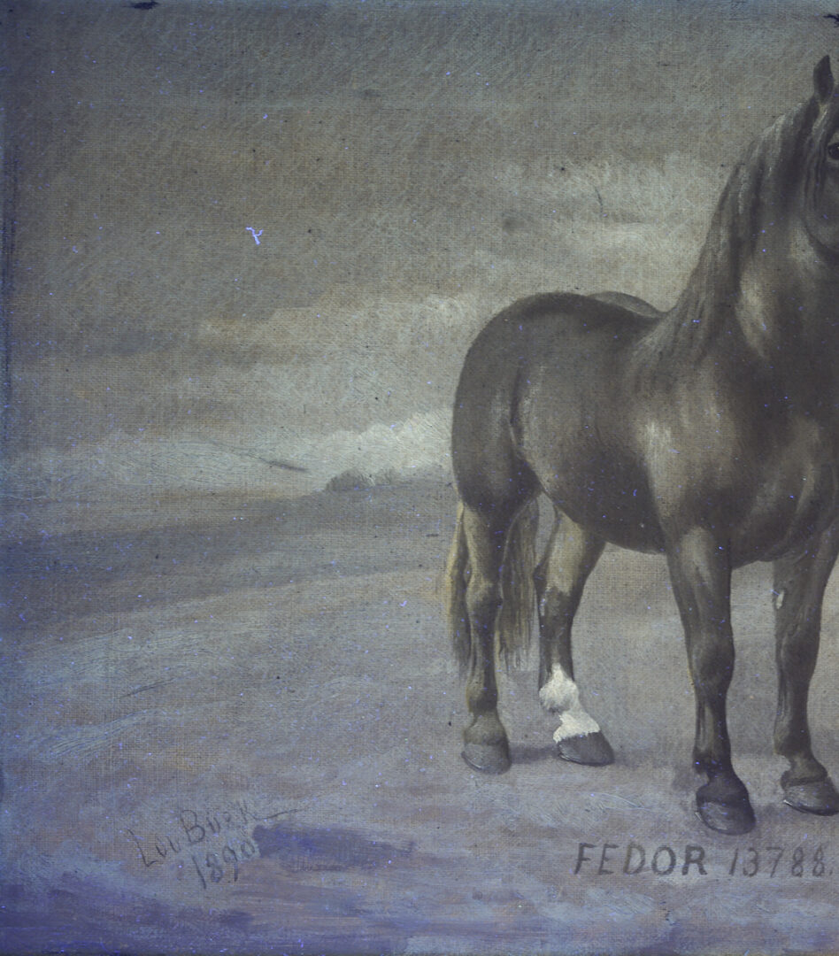 Lot 182: Two Lou Burk Equine Illustration Art Paintings