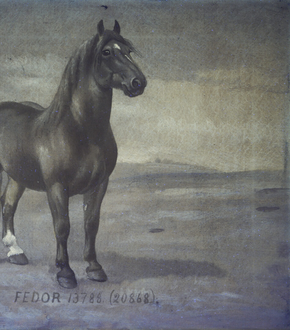 Lot 182: Two Lou Burk Equine Illustration Art Paintings