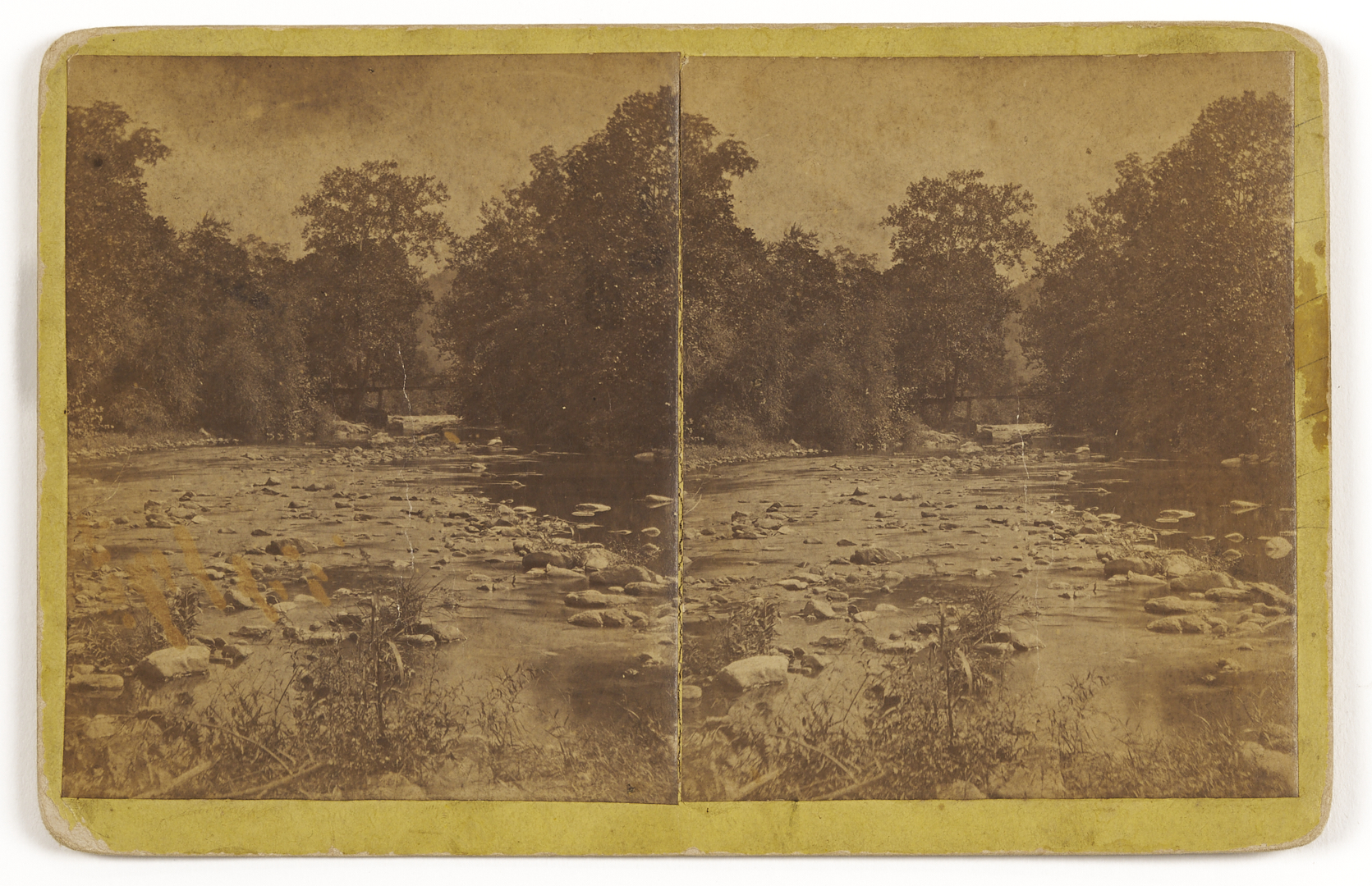 Lot 191: Early Knoxville Photo & Art Archive, McCrary & Branson, Lloyd Branson, Adelia Lutz, Appalachian Expo