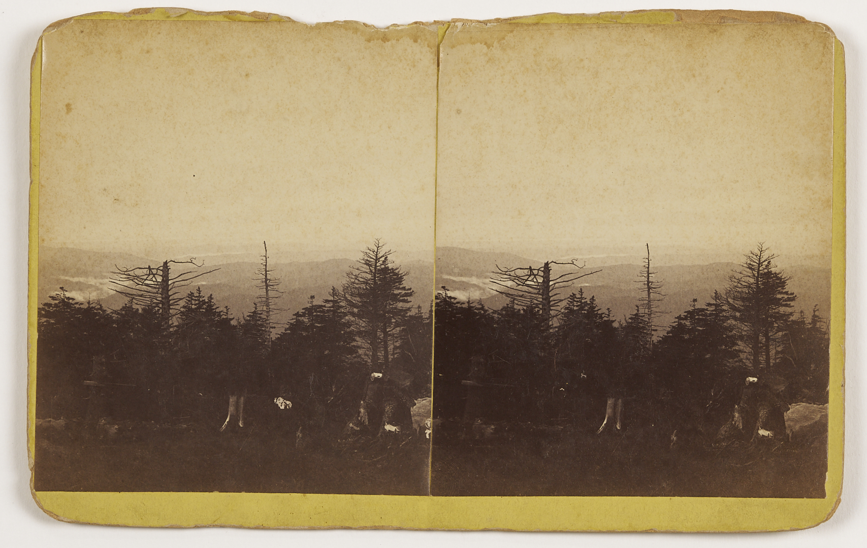 Lot 191: Early Knoxville Photo & Art Archive, McCrary & Branson, Lloyd Branson, Adelia Lutz, Appalachian Expo