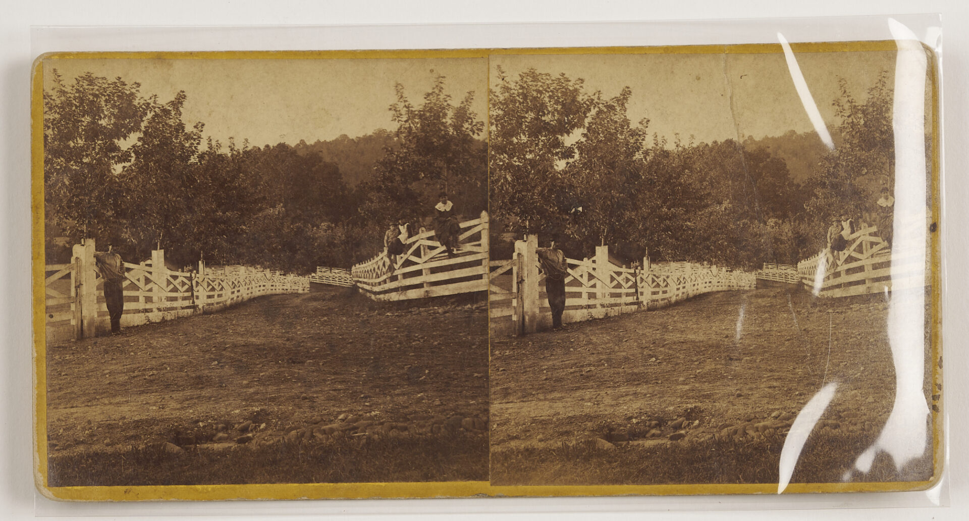 Lot 191: Early Knoxville Photo & Art Archive, McCrary & Branson, Lloyd Branson, Adelia Lutz, Appalachian Expo