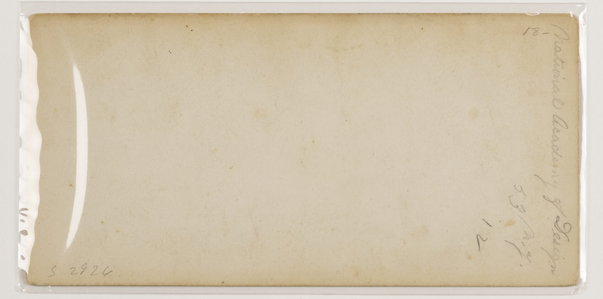 Lot 191: Early Knoxville Photo & Art Archive, McCrary & Branson, Lloyd Branson, Adelia Lutz, Appalachian Expo