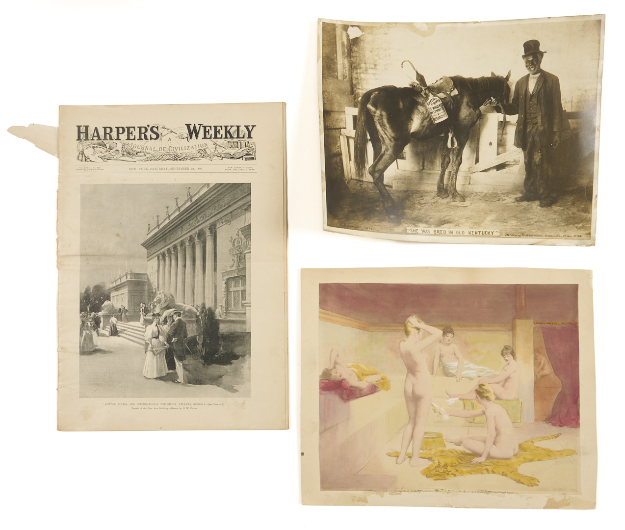 Lot 191: Early Knoxville Photo & Art Archive, McCrary & Branson, Lloyd Branson, Adelia Lutz, Appalachian Expo