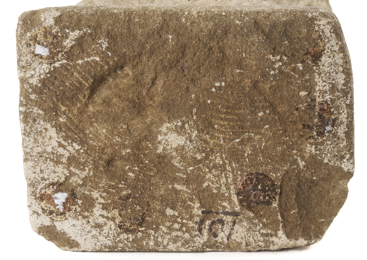 Lot 196: William Edmondson School Teacher Sculpture, Exhibited