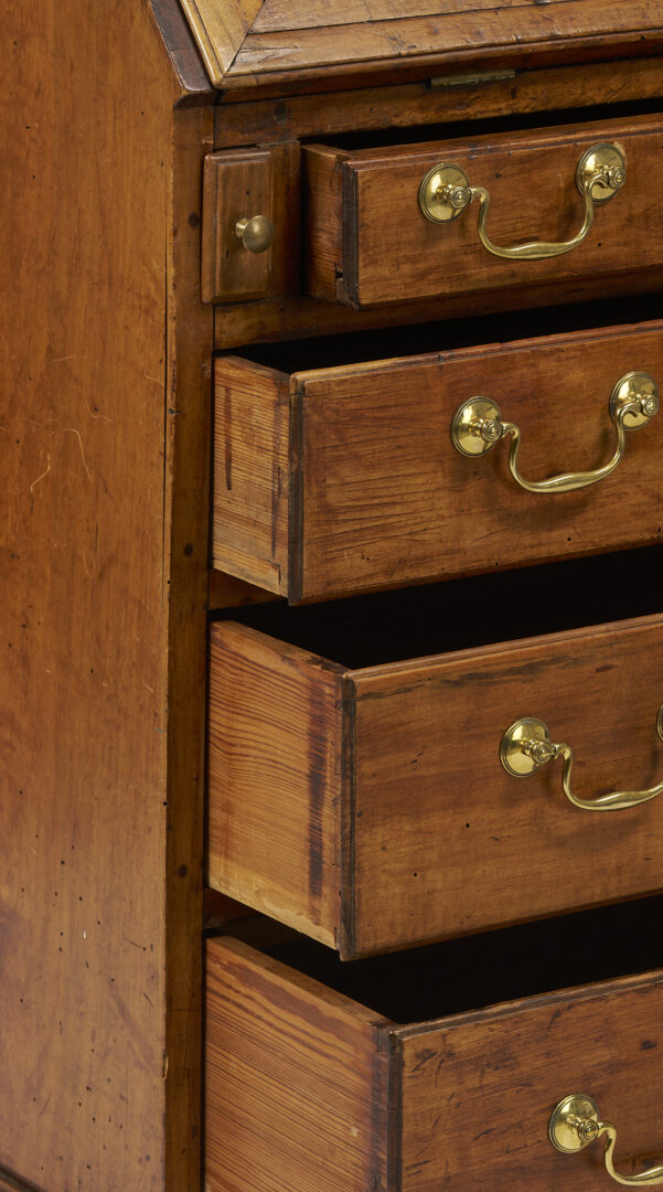 Lot 213: Southwest Virginia Chippendale Secretary Bookcase