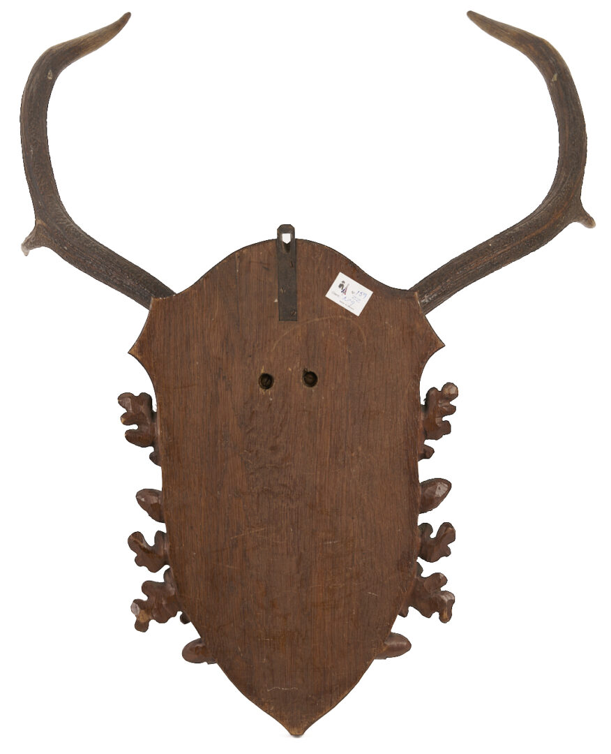 Lot 271: Black Forest Carved Stag Head and Mounted Antlers