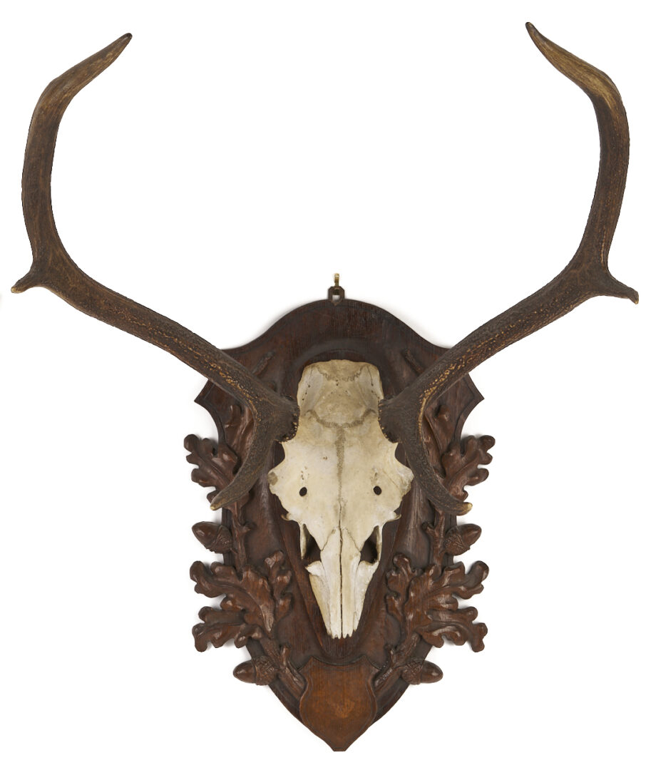 Lot 271: Black Forest Carved Stag Head and Mounted Antlers