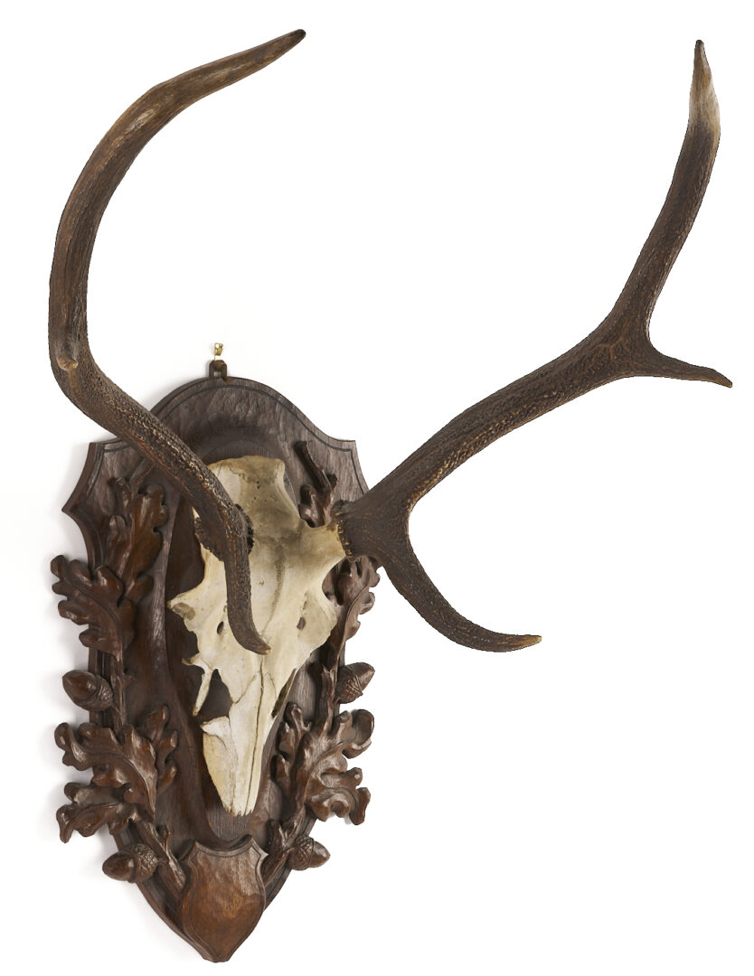 Lot 271: Black Forest Carved Stag Head and Mounted Antlers