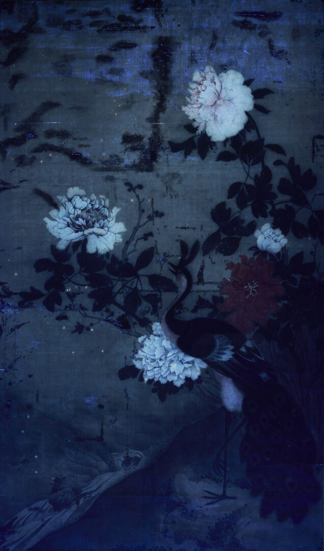 Lot 31: Large Chinese Qing Dynasty Scroll Painting on Silk, Peacock w/ Flowers