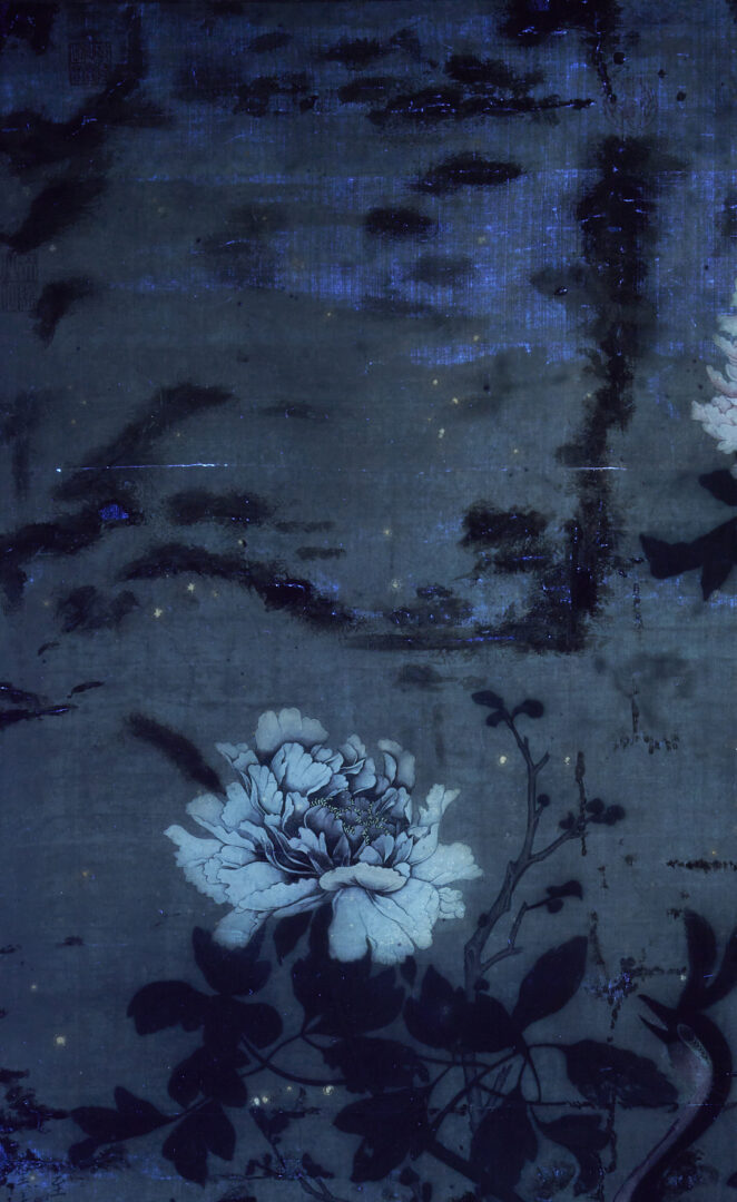 Lot 31: Large Chinese Qing Dynasty Scroll Painting on Silk, Peacock w/ Flowers