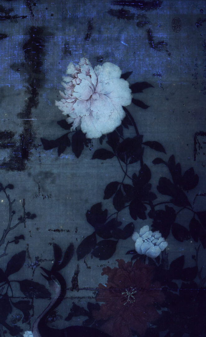 Lot 31: Large Chinese Qing Dynasty Scroll Painting on Silk, Peacock w/ Flowers