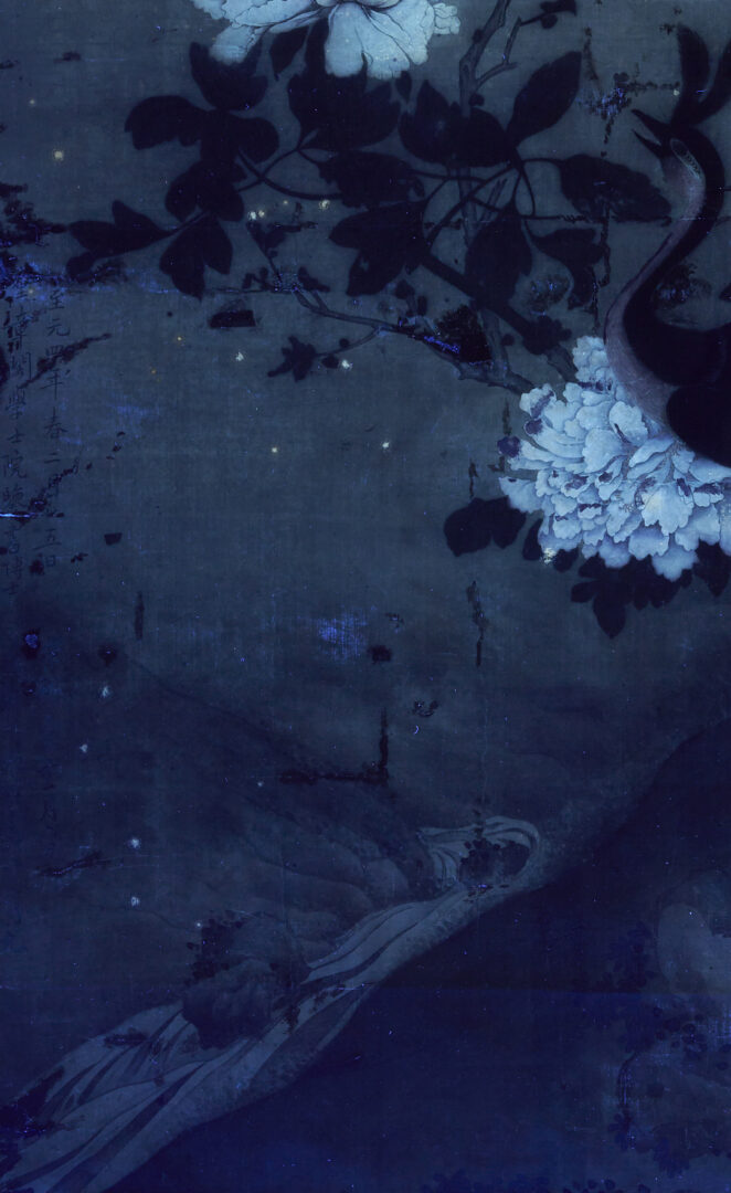 Lot 31: Large Chinese Qing Dynasty Scroll Painting on Silk, Peacock w/ Flowers