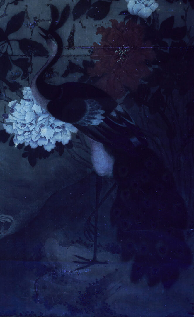 Lot 31: Large Chinese Qing Dynasty Scroll Painting on Silk, Peacock w/ Flowers