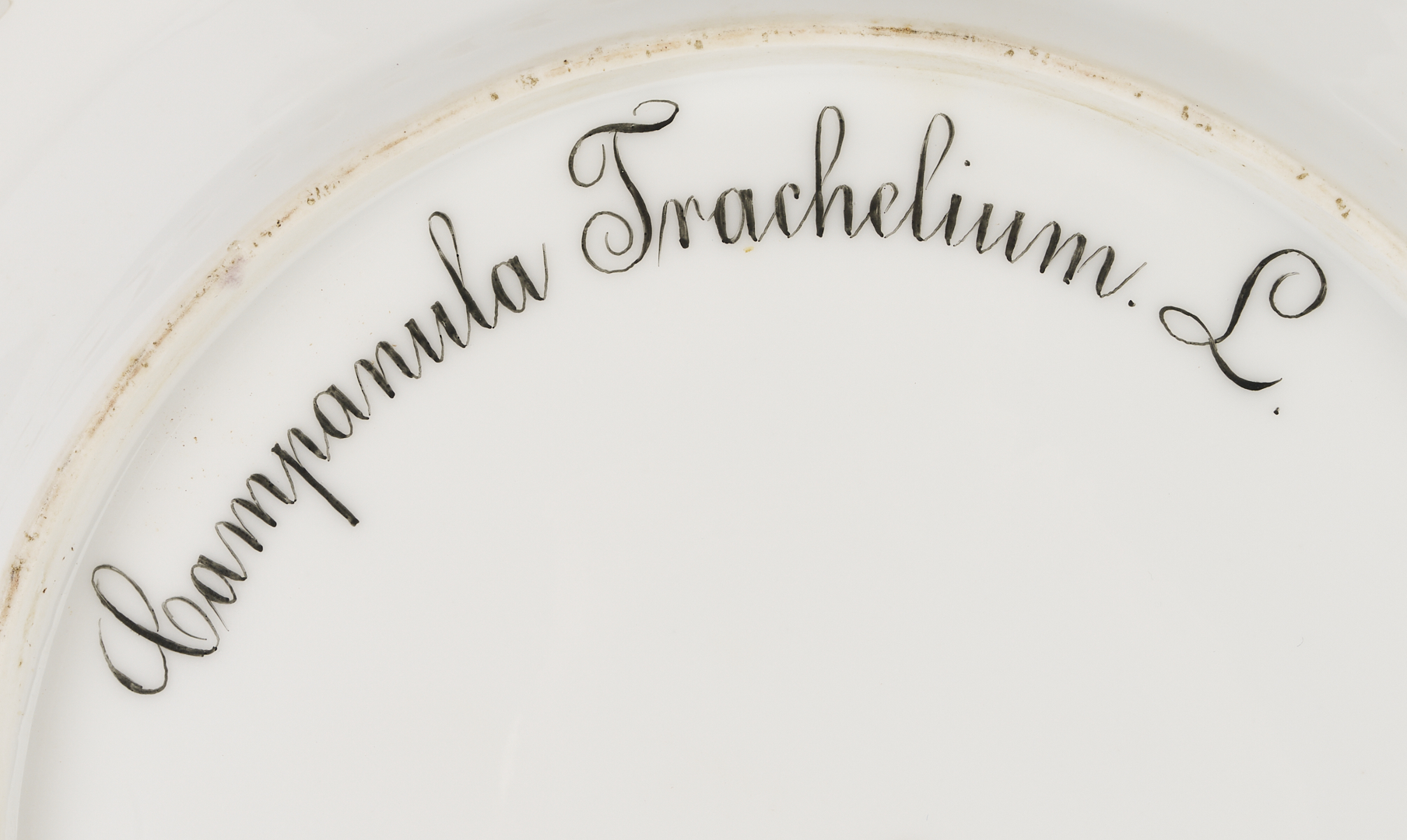 Lot 358: 13 Pieces of Royal Copenhagen Flora Danica Porcelain Dinnerware