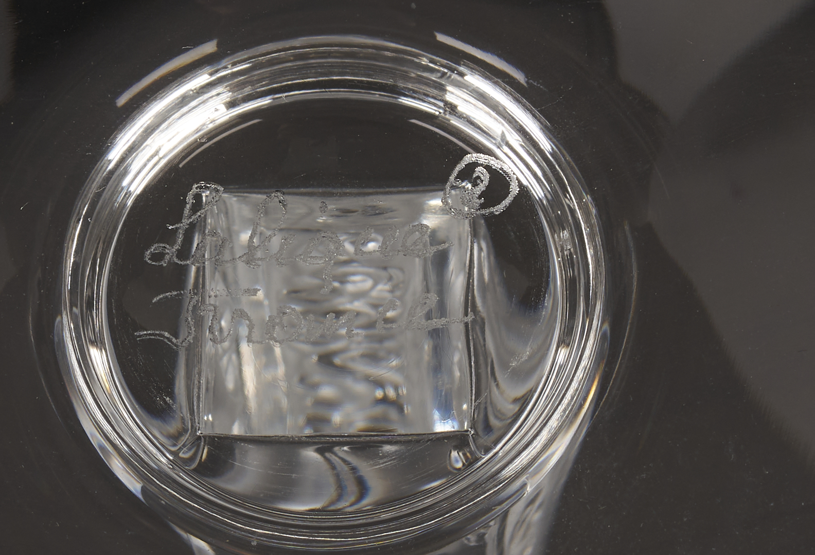 Lot 372: 34 pcs Lalique Phalsbourg Crystal Stemware