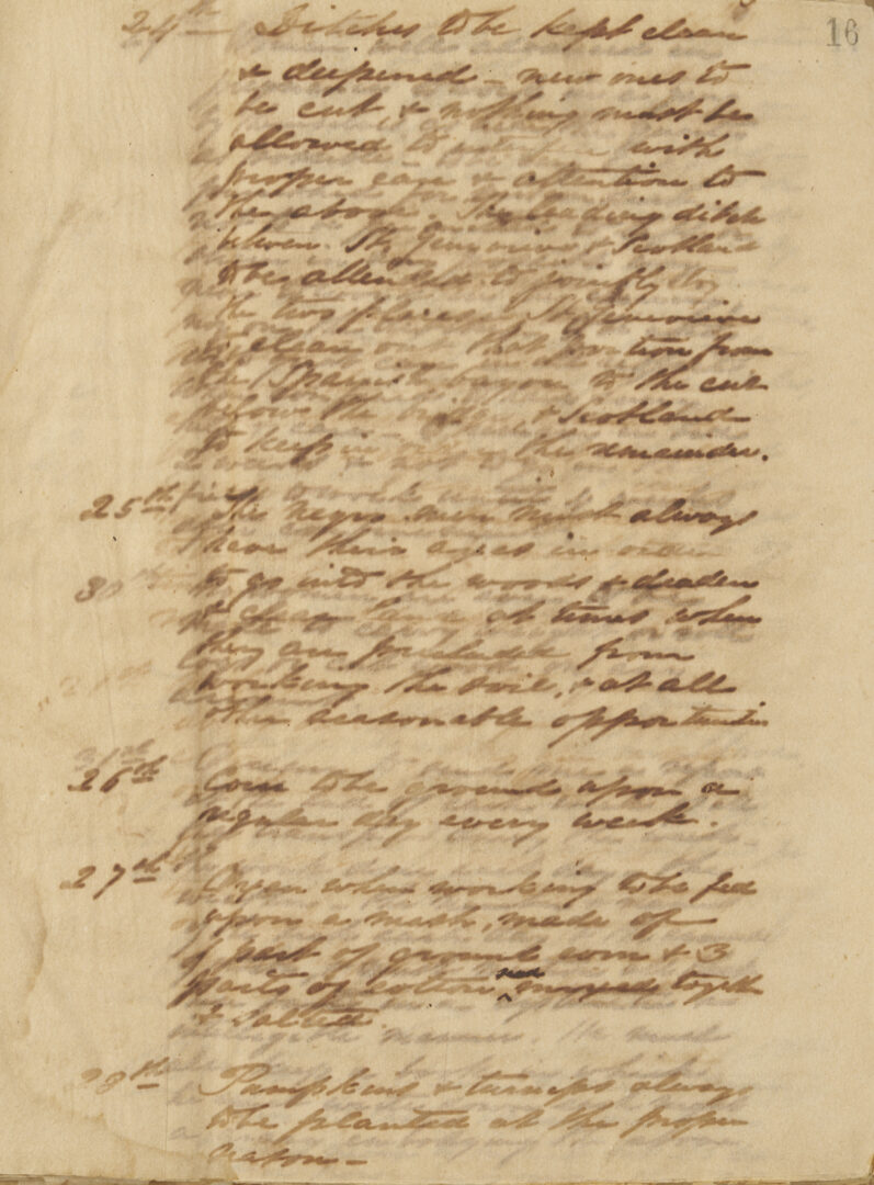 Lot 484: Large A. P. Merrill Family Archive, Natchez, MS, Plantation Interest, c. 1820s-80s