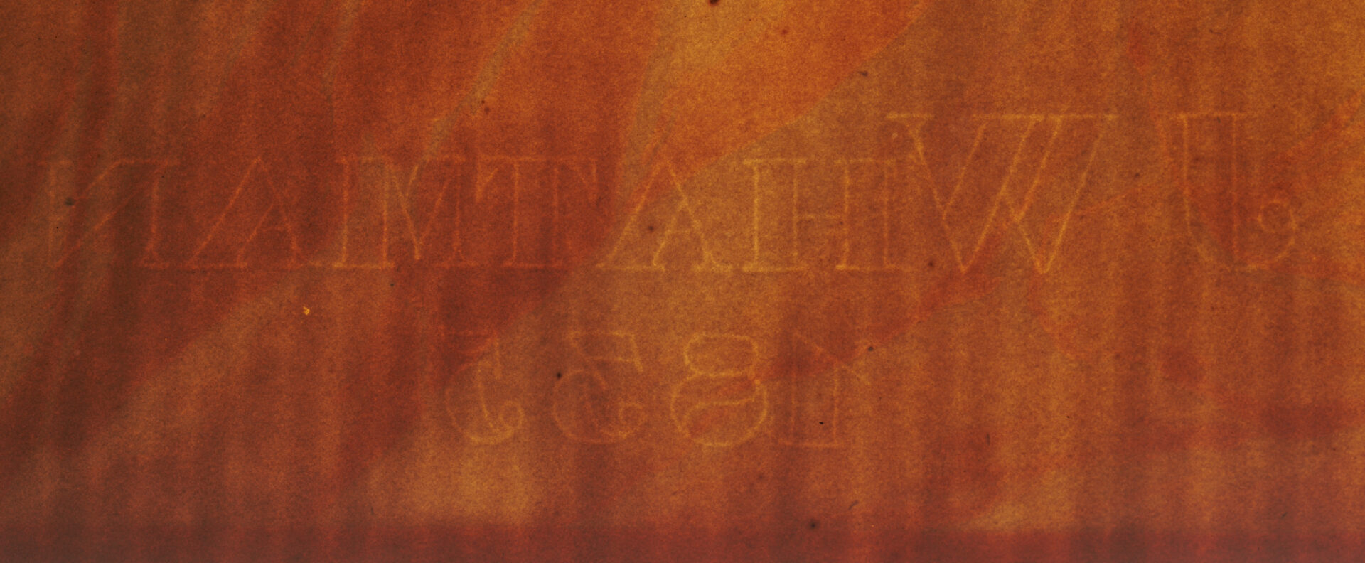 Lot 542: Audubon c. 1835 Birds of America Common Cormorant, Havell Edition