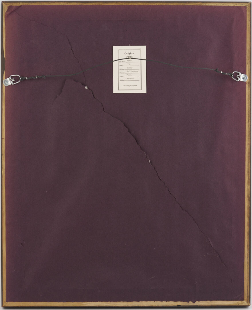 Lot 544: 4 Framed 18th C.  Botanical Prints, J. von Plenck