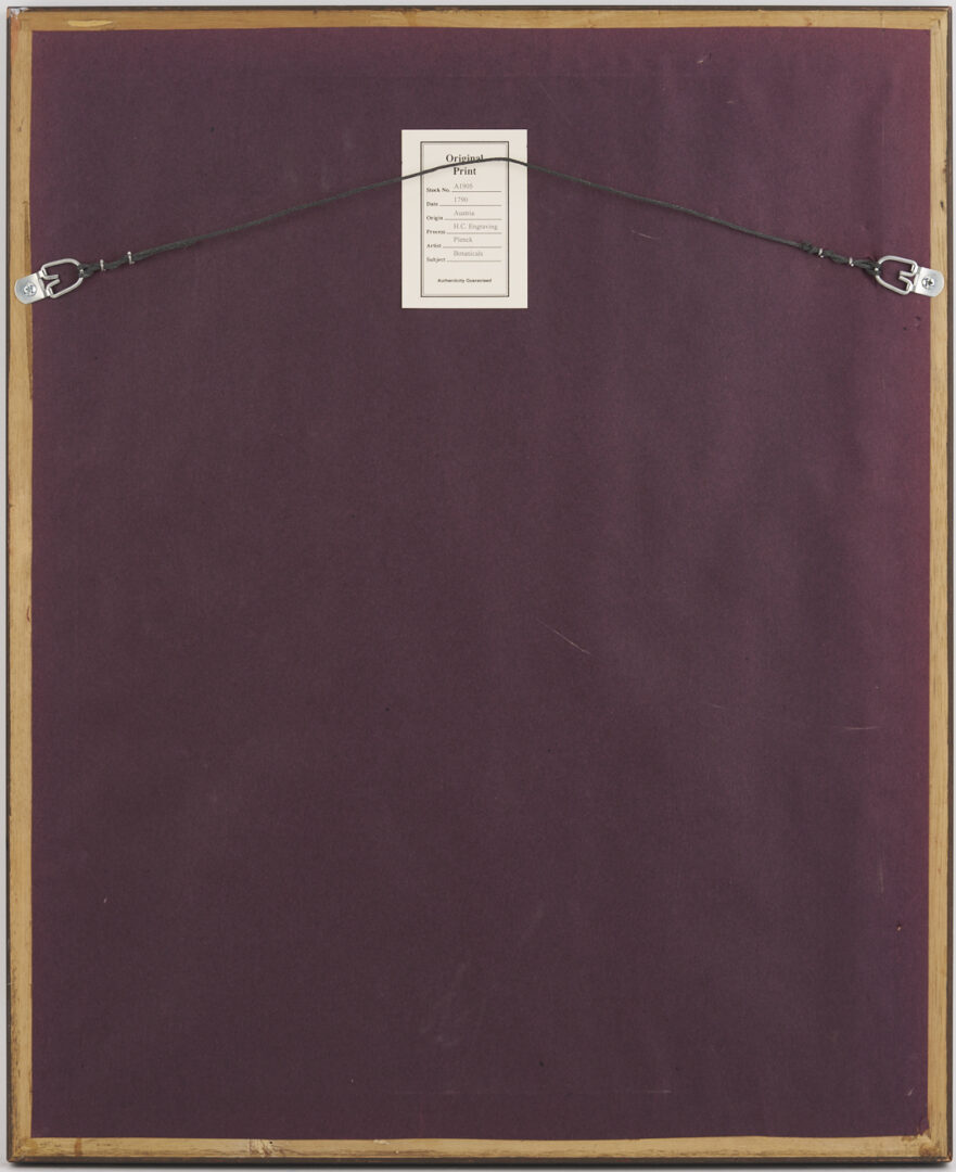 Lot 544: 4 Framed 18th C.  Botanical Prints, J. von Plenck