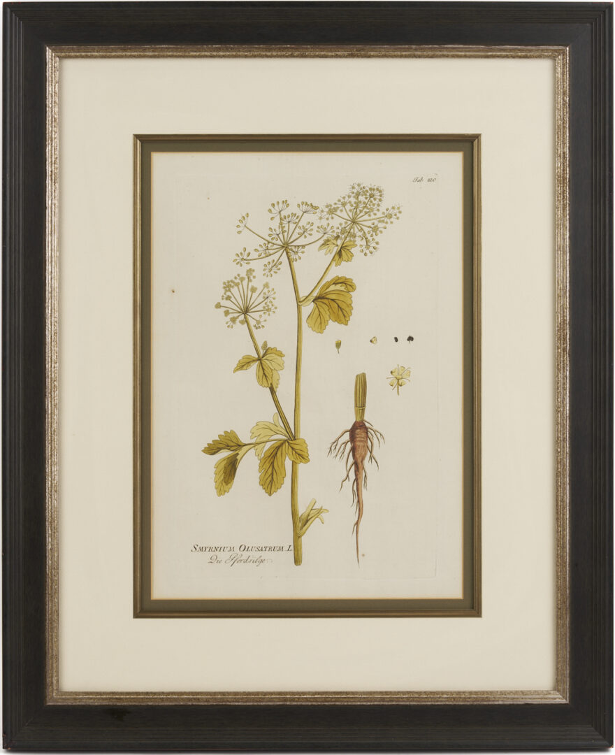 Lot 544: 4 Framed 18th C.  Botanical Prints, J. von Plenck