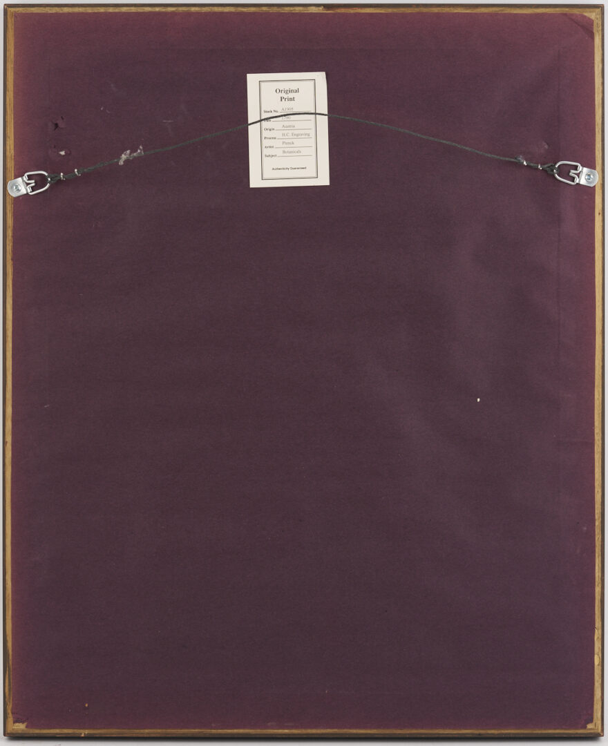 Lot 544: 4 Framed 18th C.  Botanical Prints, J. von Plenck