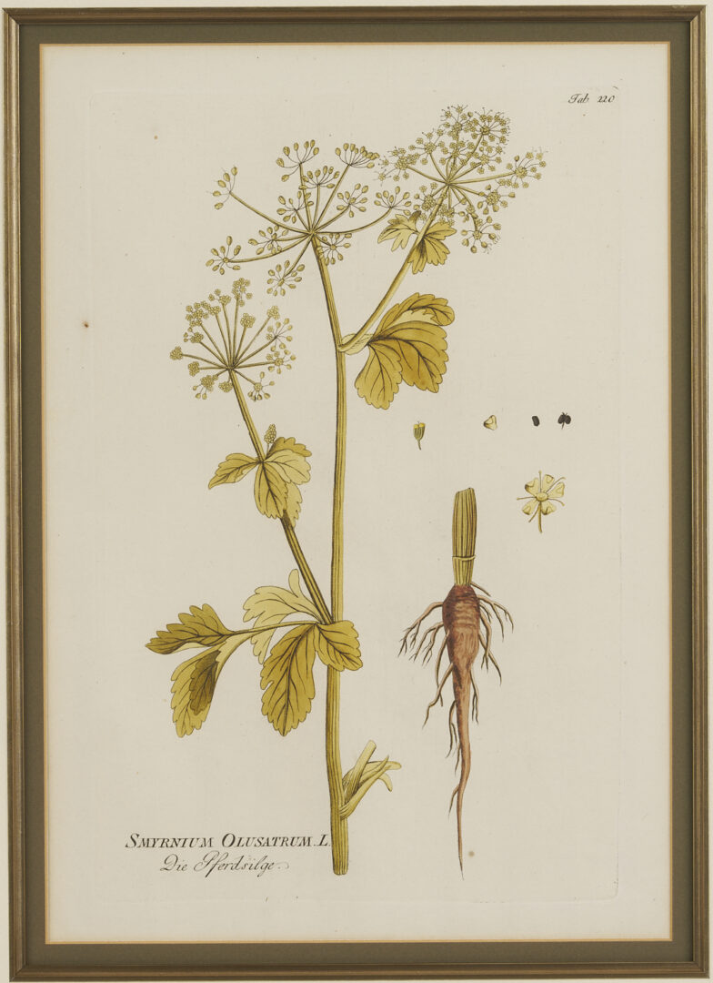 Lot 544: 4 Framed 18th C.  Botanical Prints, J. von Plenck