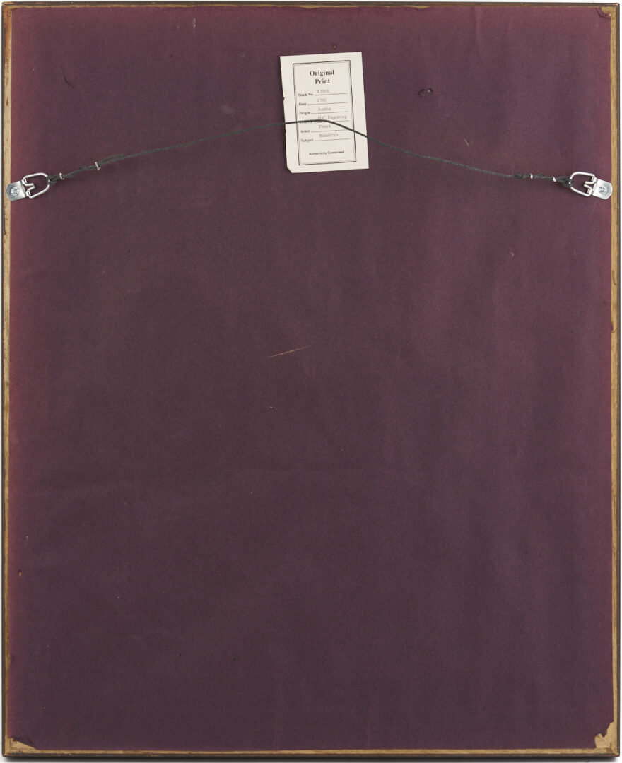 Lot 544: 4 Framed 18th C.  Botanical Prints, J. von Plenck